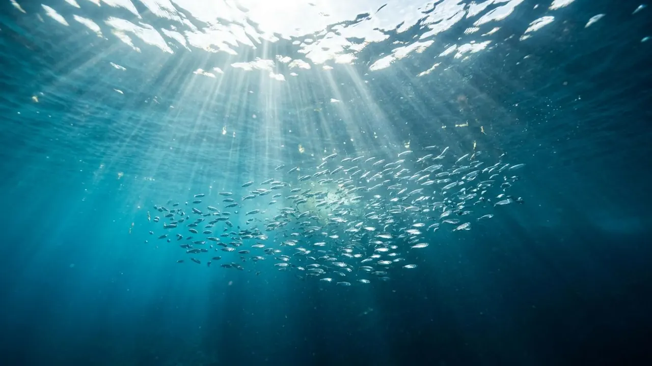 Underwater: The scene sits below the surface, where light shafts and everything slows.