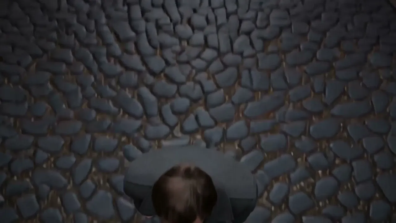 Crane Over The Head: The camera rises over the subject and looks back down.