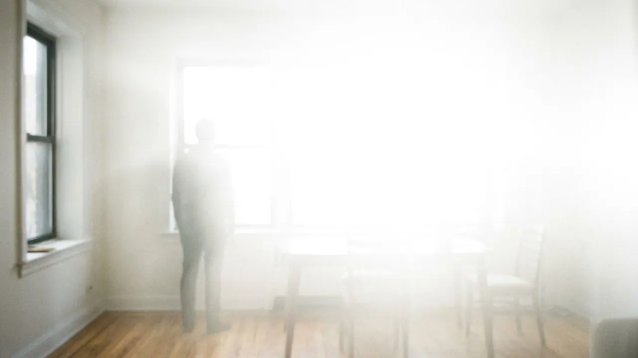 Light Flash: A sudden burst of light overwhelms the frame.